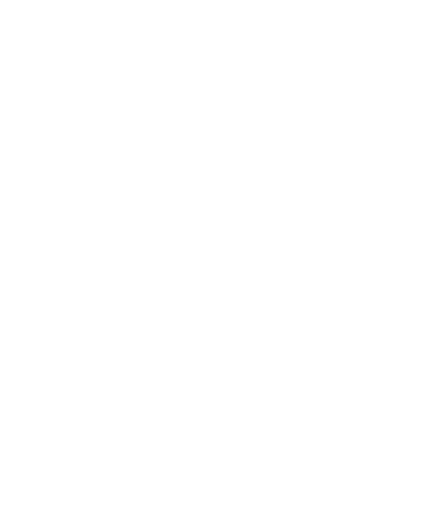 Dragon icon
